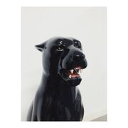 Céramique Black Panther