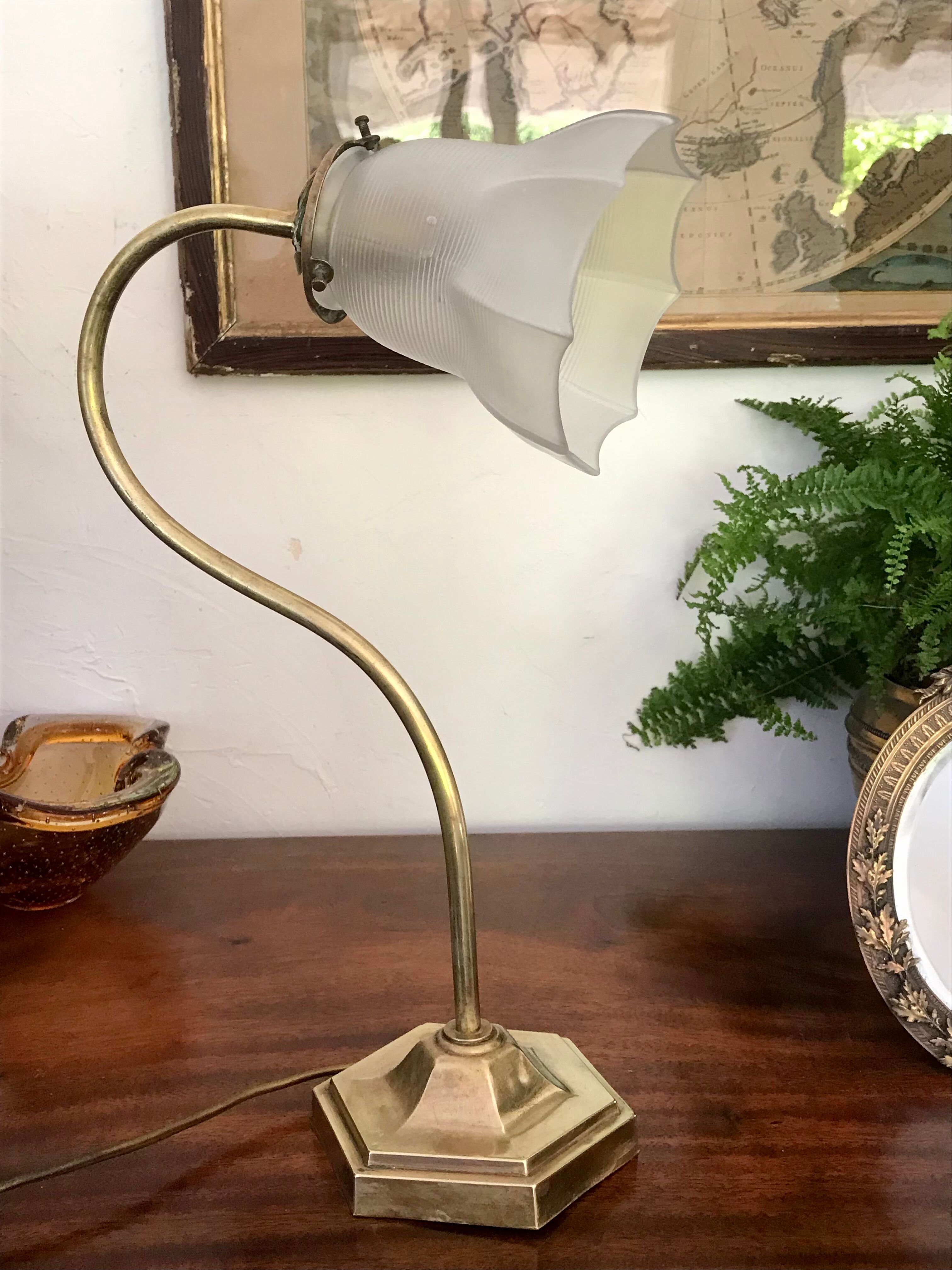 Brass gooseneck lamp