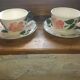 Duo de tasses Villeroy & Boch "Wild rose"