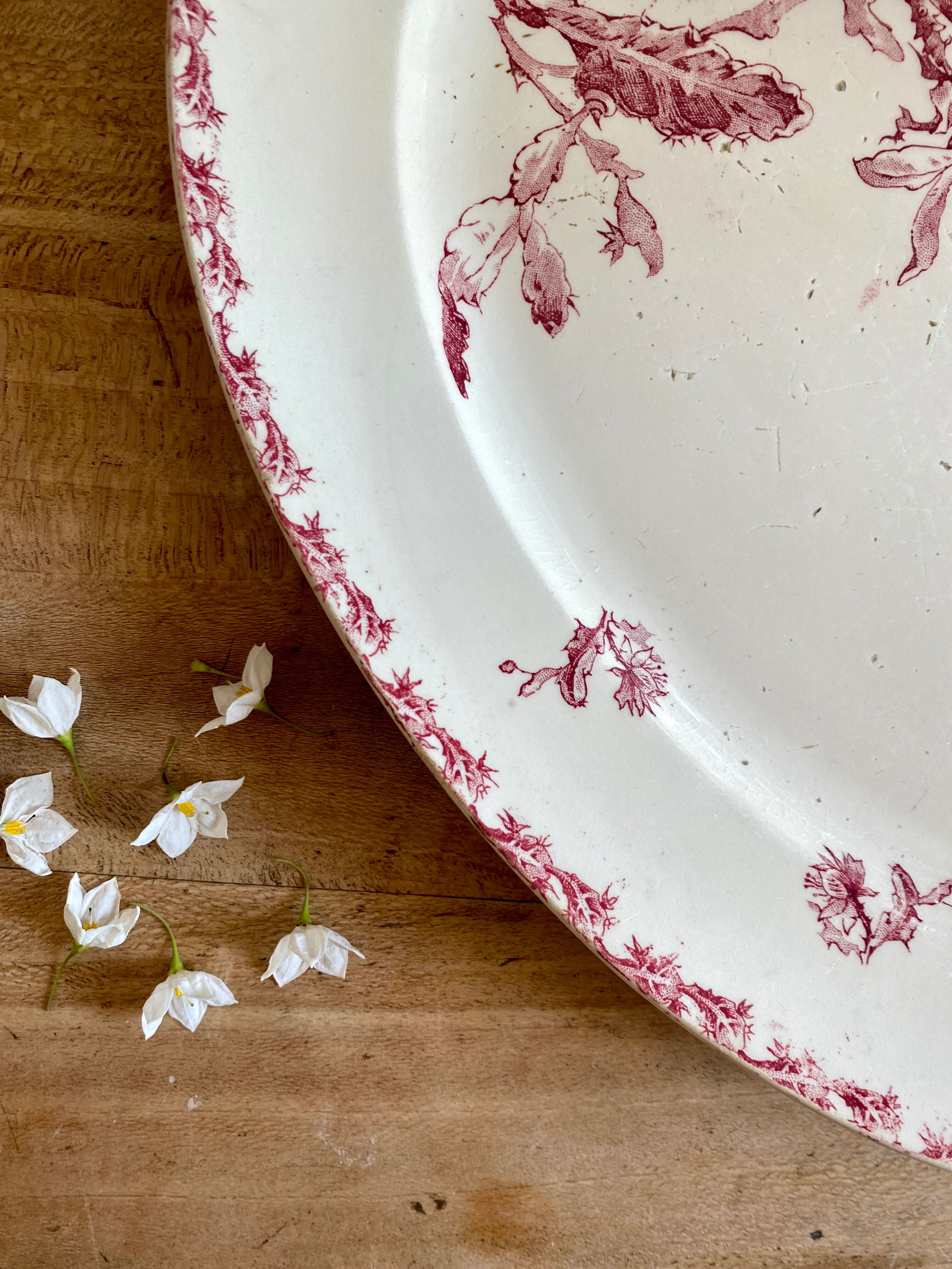 Old oval dish in iron earth