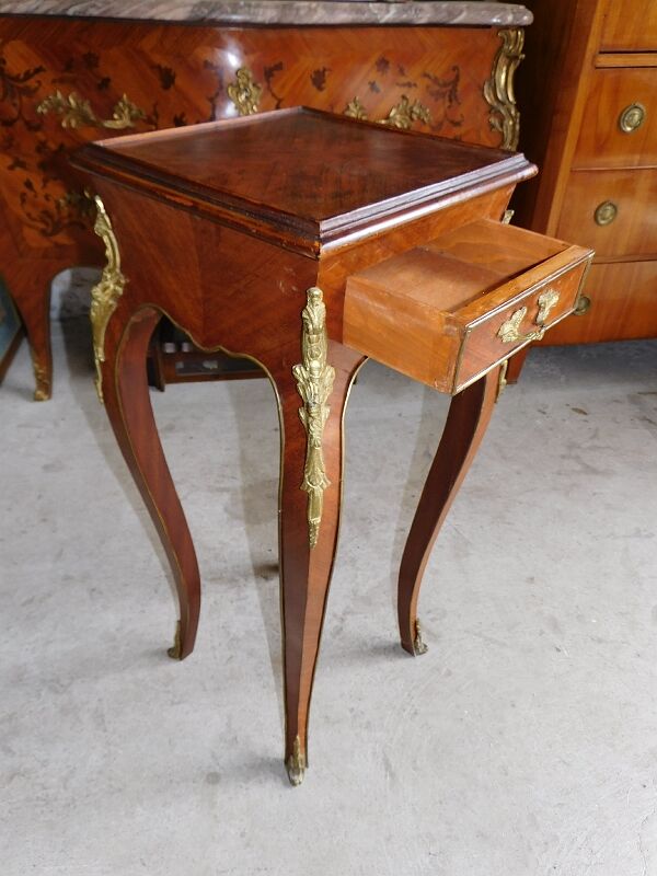 Harness in veneer and bronze