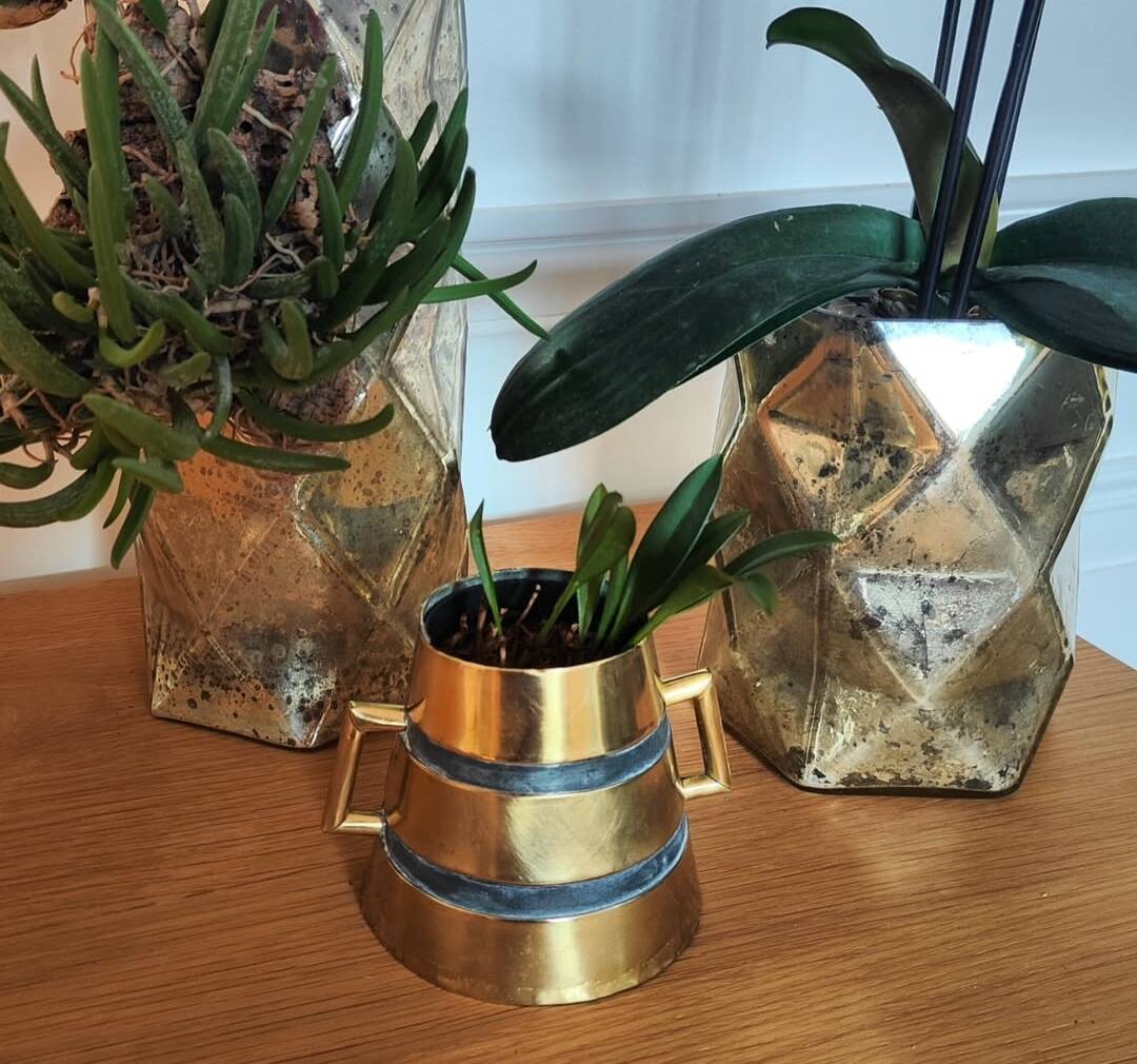 Plant pot