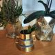 Plant pot