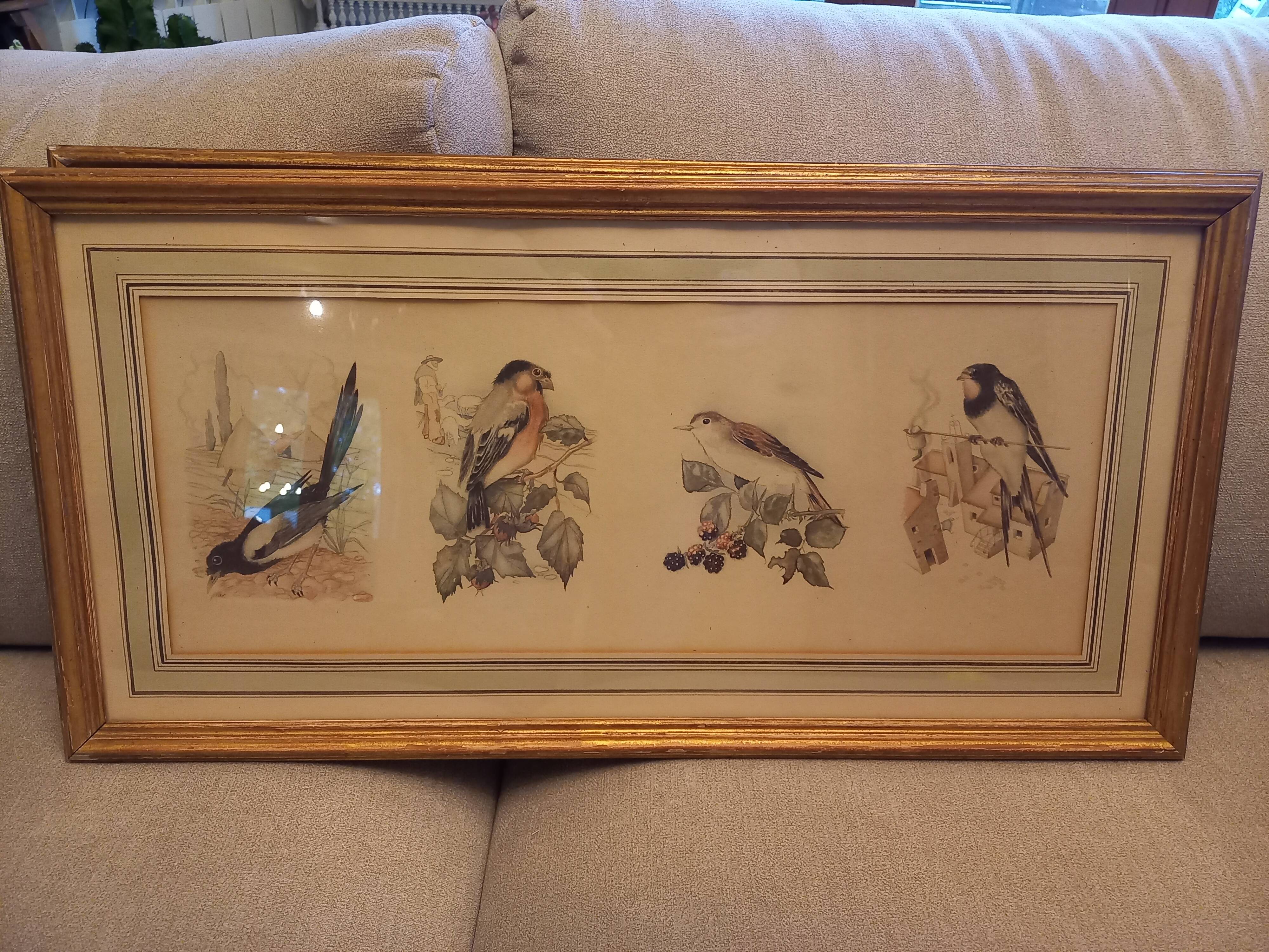 Lot 2 watercolors ancient birds