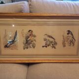 Lot 2 aquarelles oiseaux anciennes