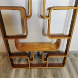 Room Divider by Ludvik Volak for Drevopodnik Holesov