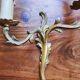 Pair of appliques with two arms of light with a leafy decoration