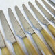 12 vintage knives NOGENT Bakélite imitation ivory