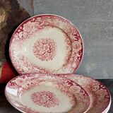 Five plates of earthenware from Pexonne 19th service "flowers"