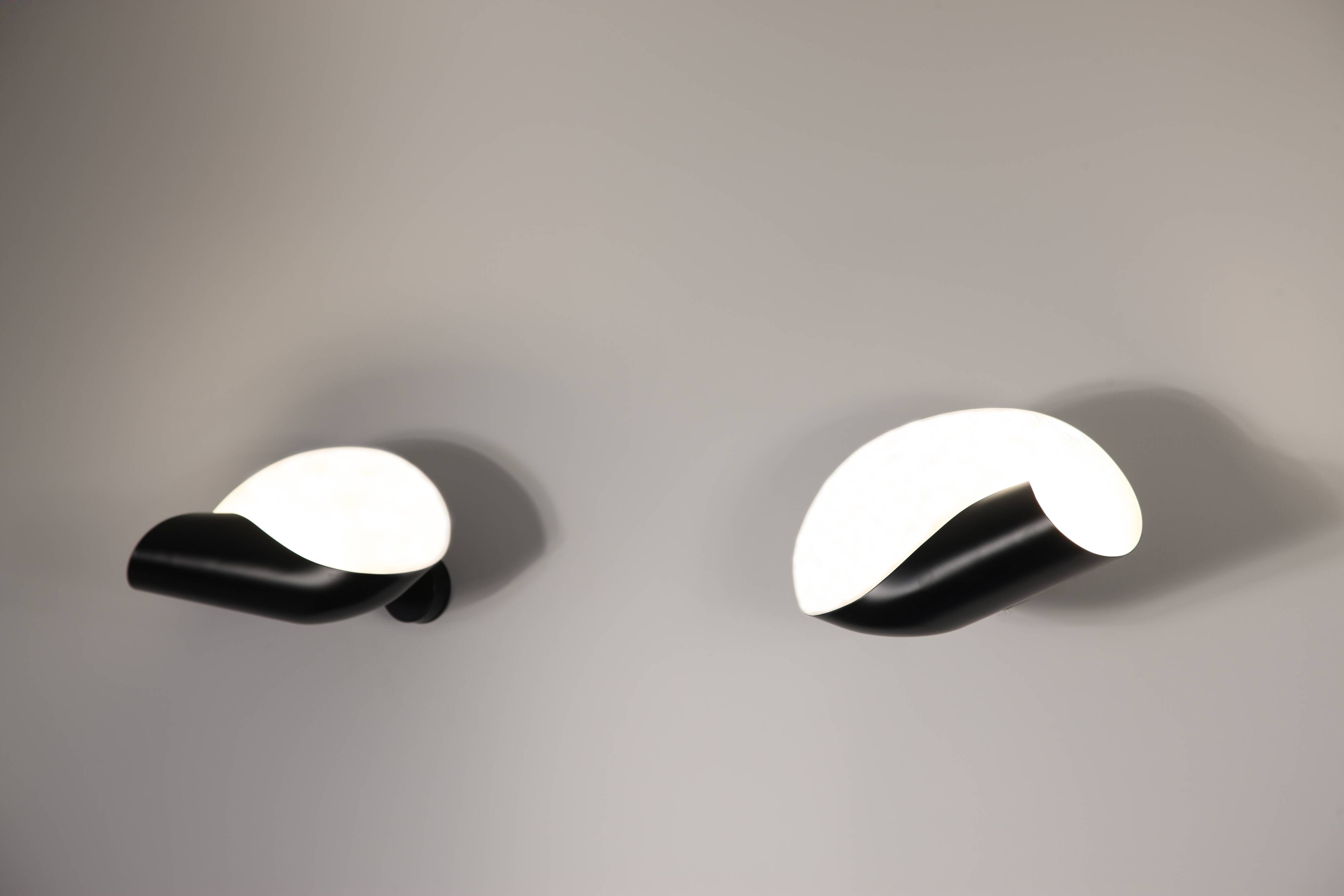 Conche wall light