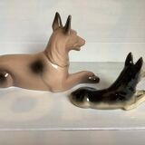 A pair of German shepherds.