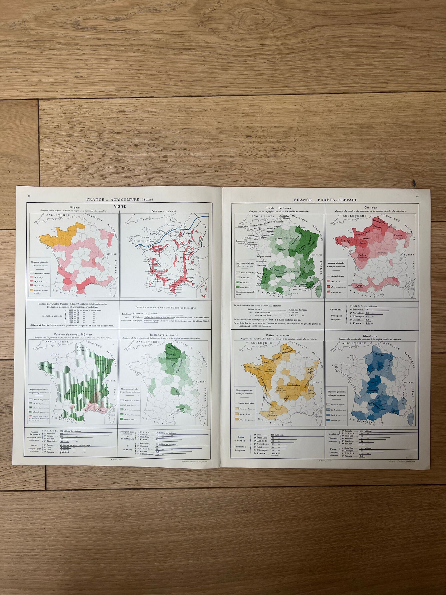 Double map plan France Agriculture Livestock 55.5x37.5cm