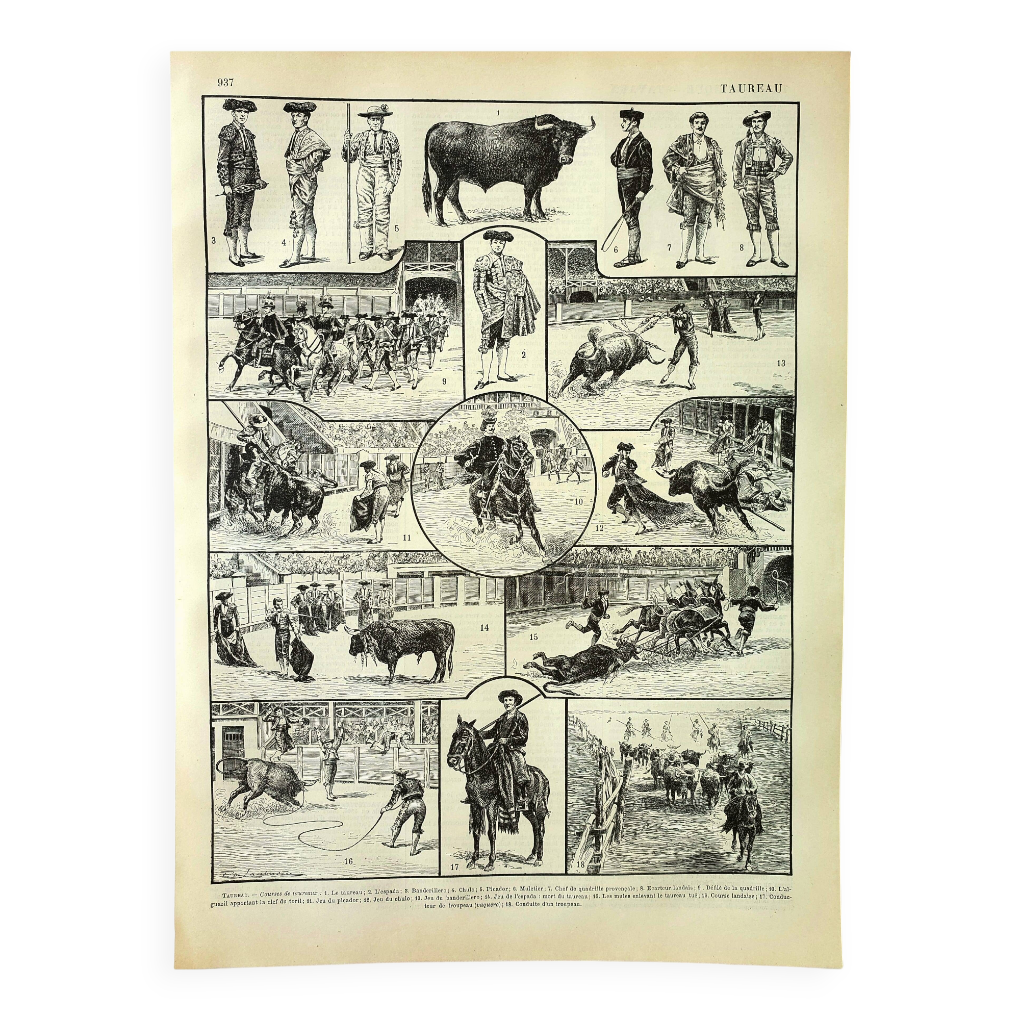 Antique engraving - 1897 P. De Laubadère - Bull - Vintage