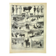 Antique engraving - 1897 P. De Laubadère - Bull - Vintage