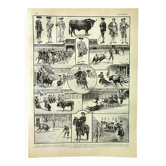Antique engraving - 1897 P. De Laubadère - Bull - Vintage