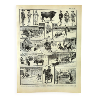 Antique engraving - 1897 P. De Laubadère - Bull - Vintage
