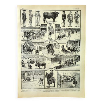Antique engraving - 1897 P. De Laubadère - Bull - Vintage