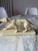 Ceramic of a walking dog brand Odyv