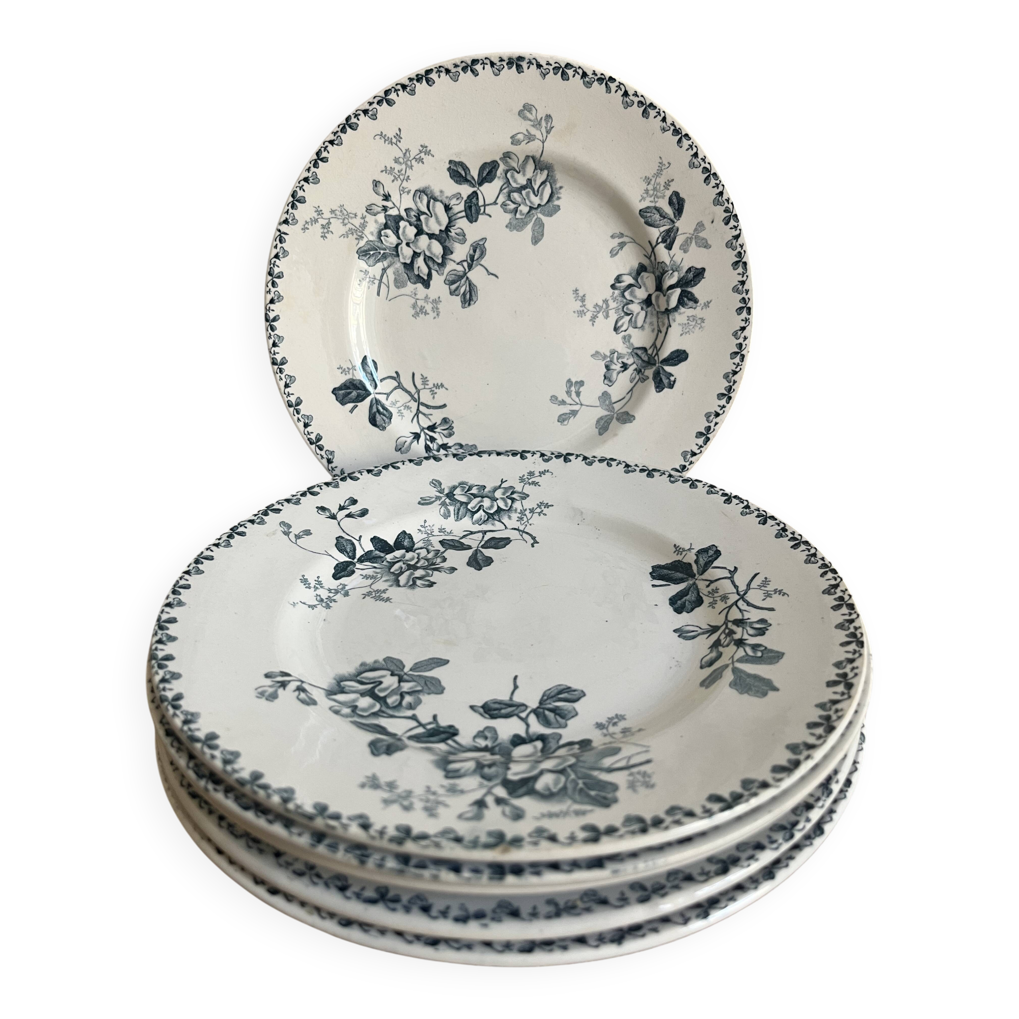 6 flat plates - Terre de fer, Acacia service