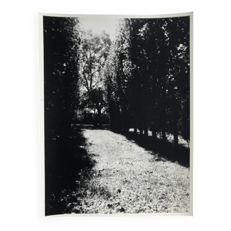 Rosine NUSIMOVICI, Untitled (Contrast), c 1980. Black and white silver print
