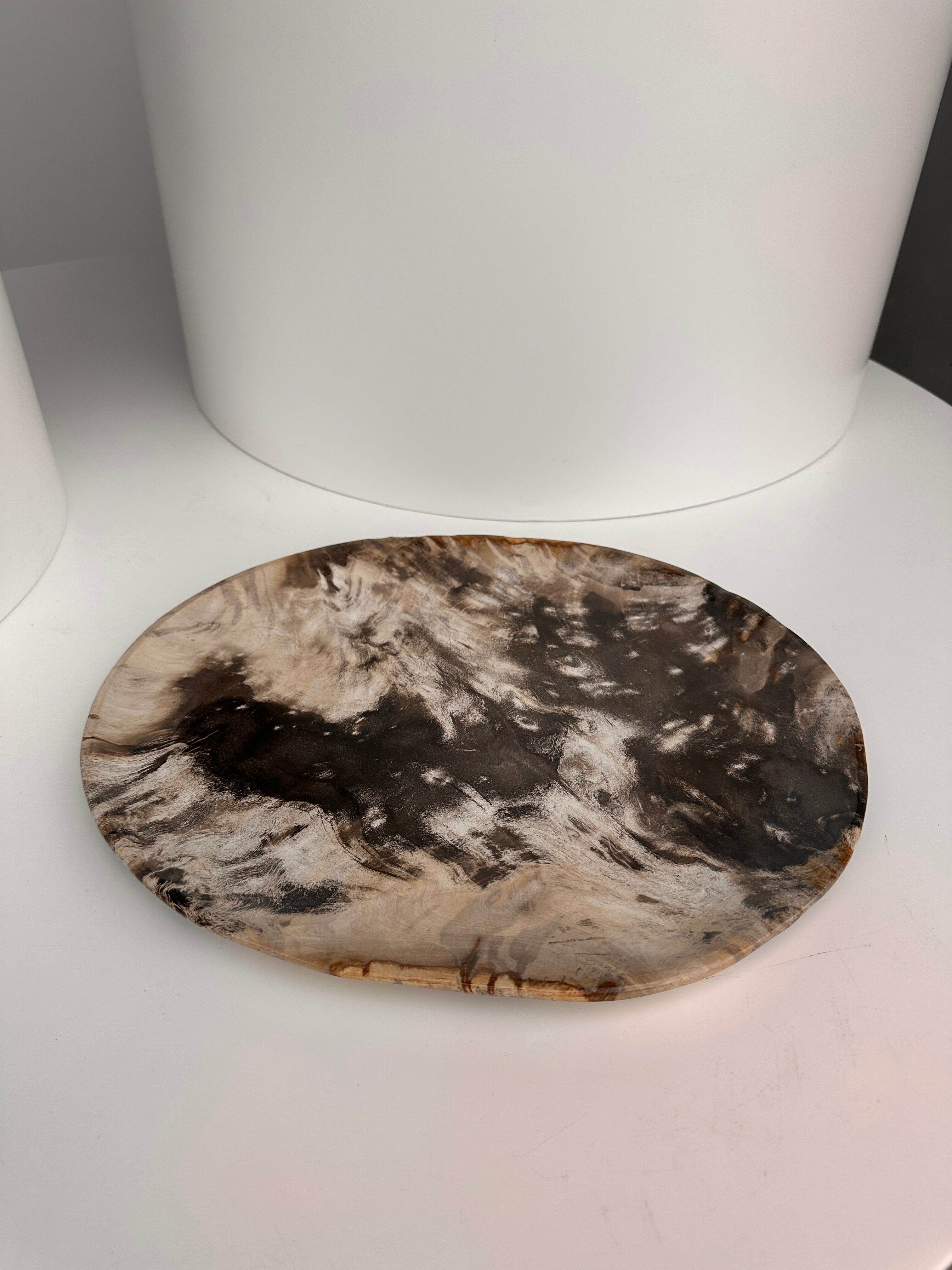 Very large empty pocket or petrified wooden flat