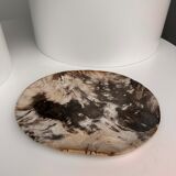 Very large empty pocket or petrified wooden flat