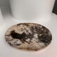 Very large empty pocket or petrified wooden flat
