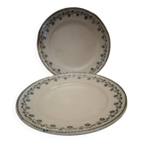 2 vintage Georgette dinner plates.
