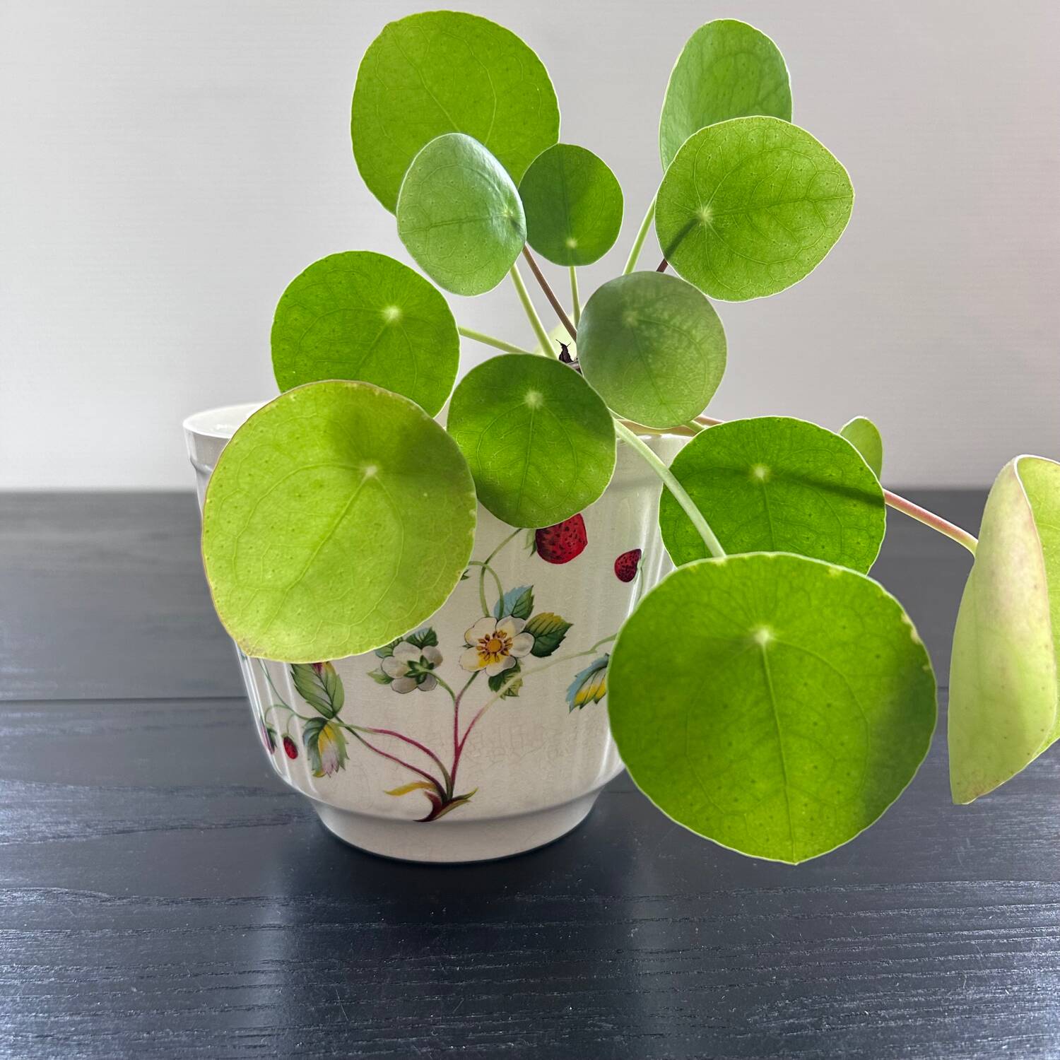 English flowerpot with strawberry decor