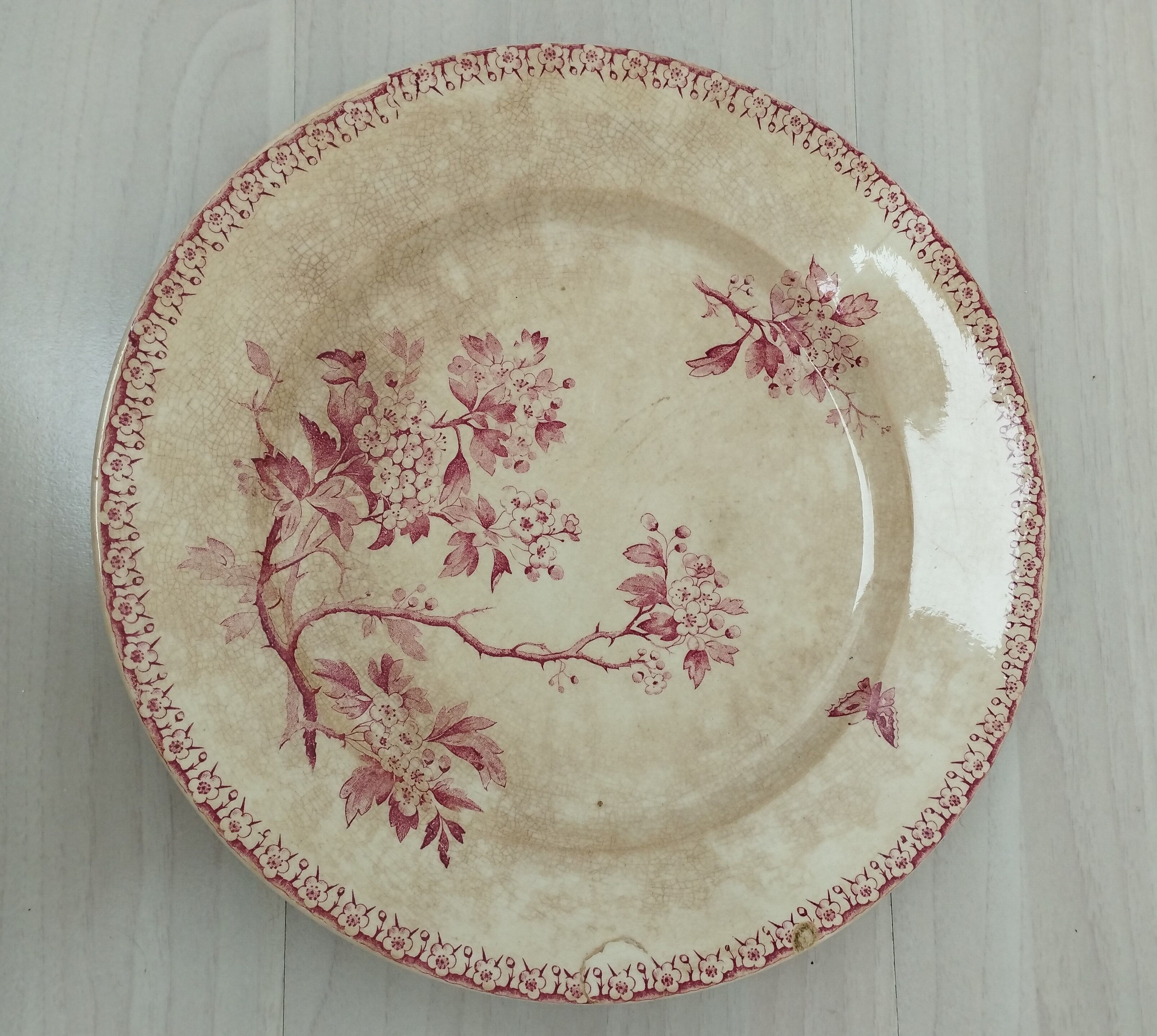 Round plate in iron earth of Gien model Pink Hawthorn