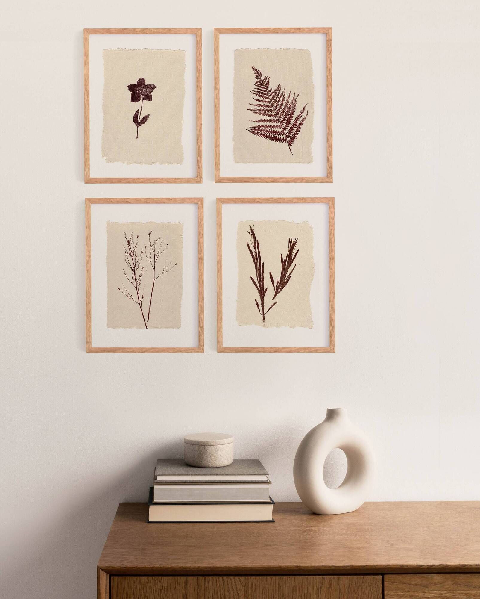 Collection of 4 herbarium paper paintings signed Eawy.