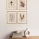 Collection of 4 herbarium paper paintings signed Eawy.
