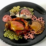 Fish slushie plate