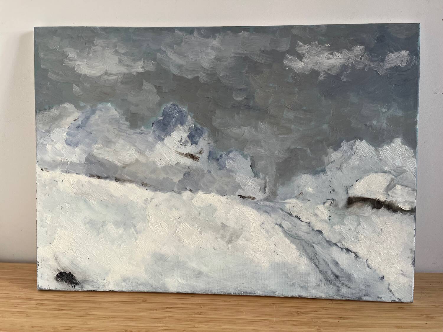 The snow - landscape, oil on canvas