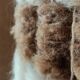 High glass lamp and vintage alpaca