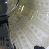 Dish