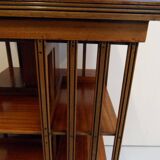 Antique mahogany revolving bookcase