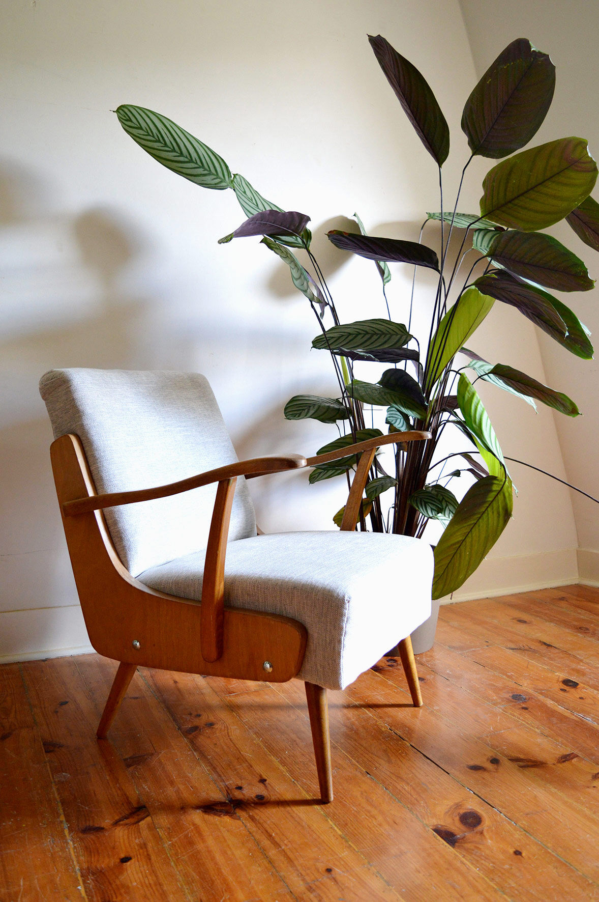 Austrian armchair 60s
