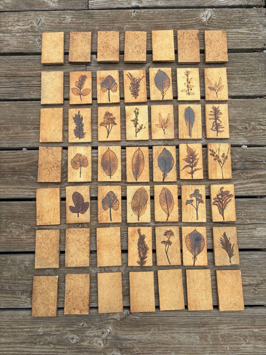 Set of 52 Vallauris herbarium tiles signed Capron