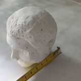 Plaster head of a man
