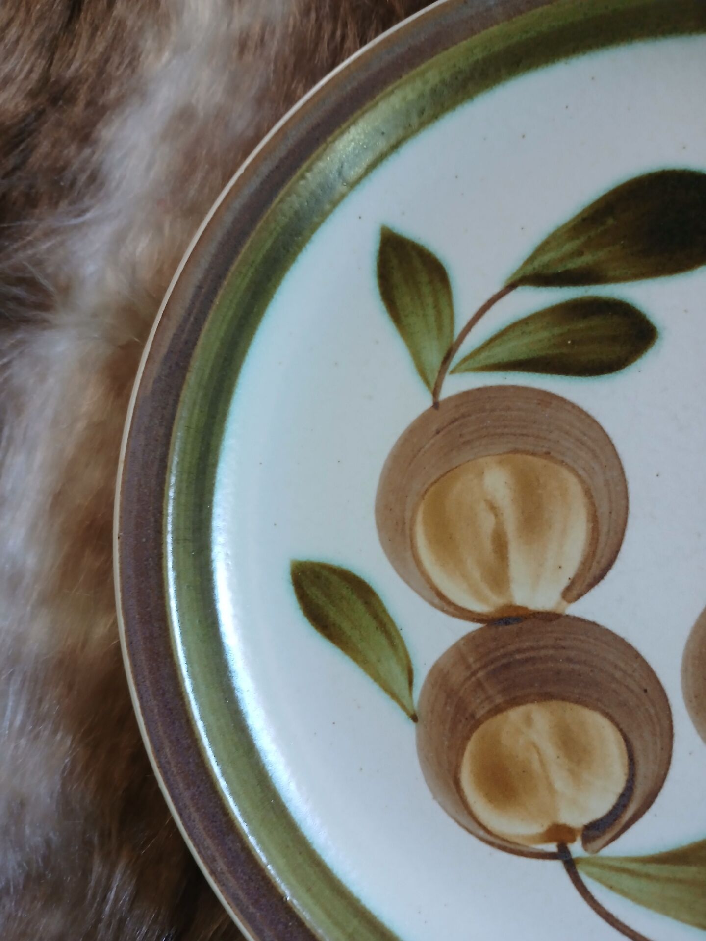 6 assiettes plates vintages Gien