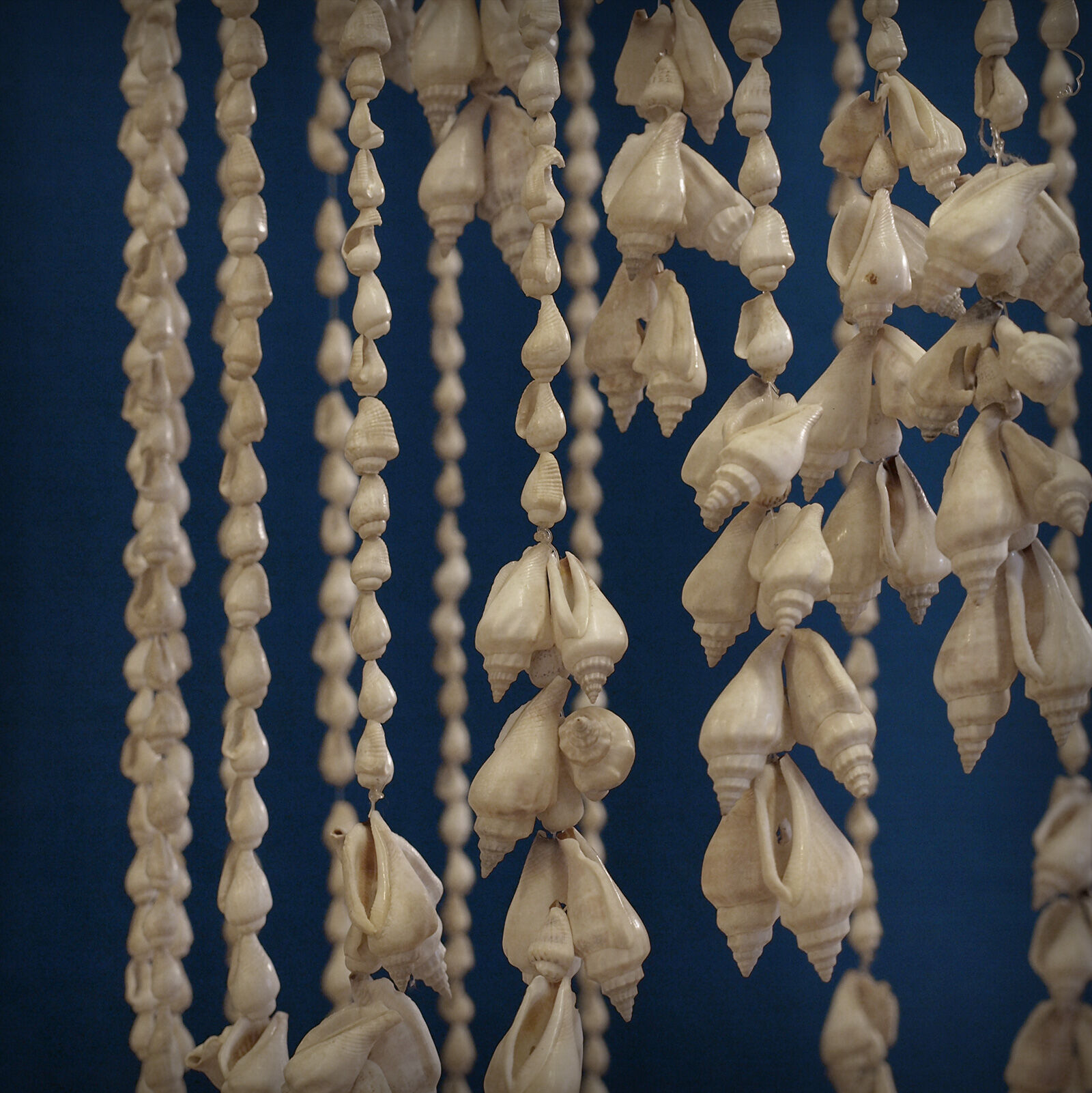 Balinese hanging lamp in curly shells