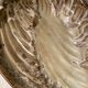 Shell fruit cup Vallauris