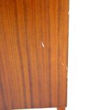 Mahogany Library Sweden 1960