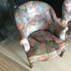 Set de 2 fauteuils crapaud