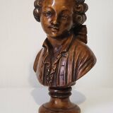 Bust of a young man in antique plaster.