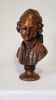Bust of a young man in antique plaster.