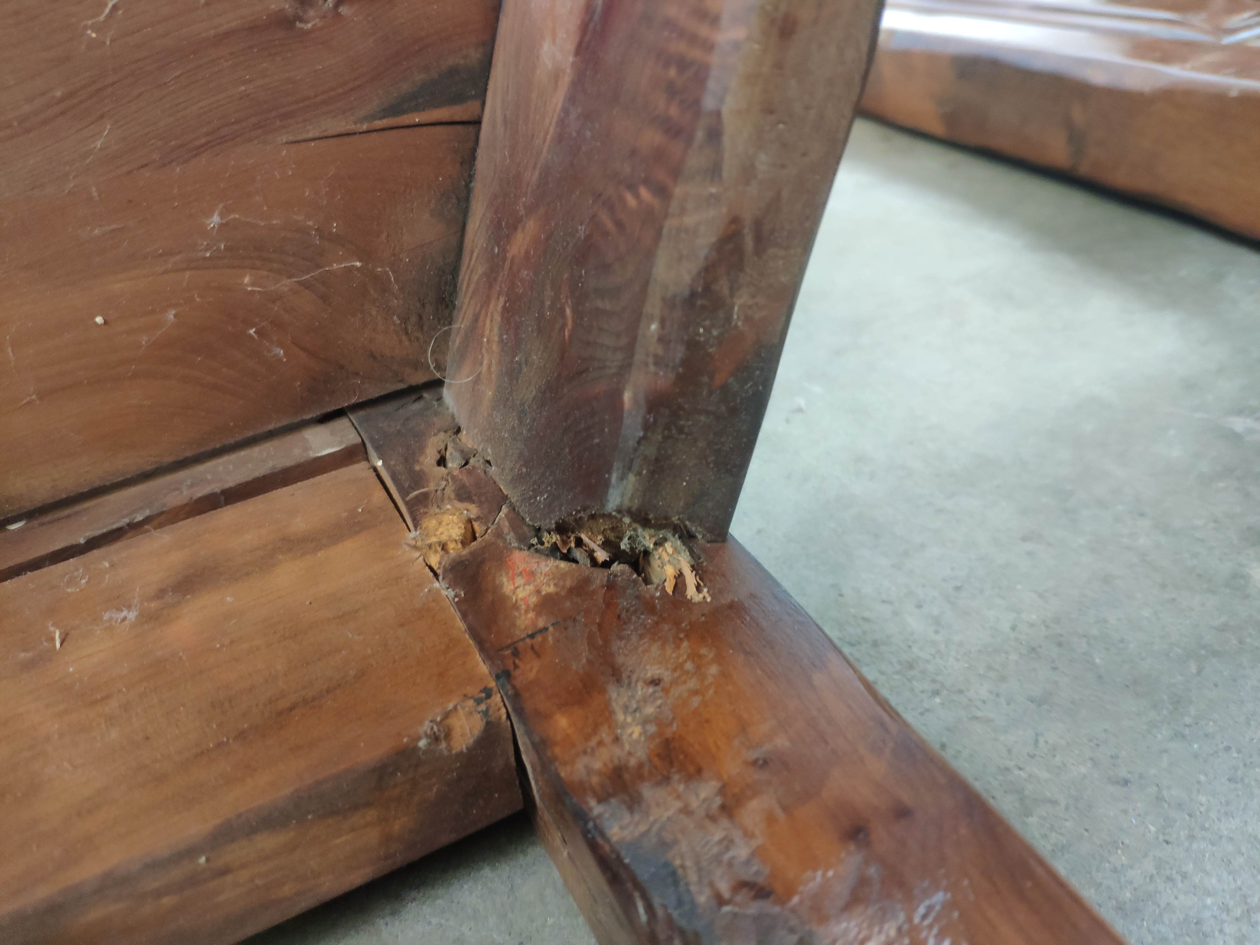 Renaissance moulded walnut chairs