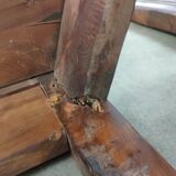 Renaissance moulded walnut chairs
