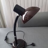 Flexible lamp
